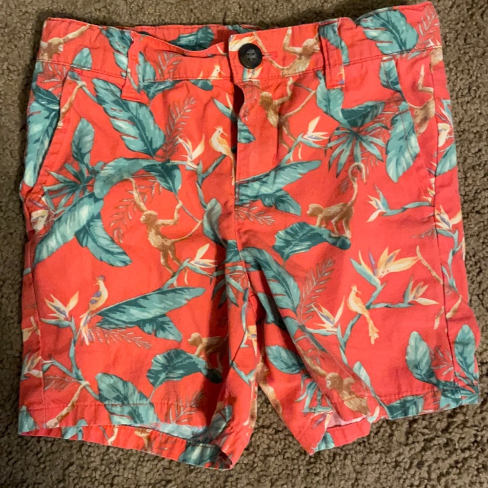 Janie and Jack shorts